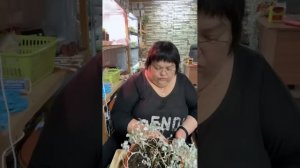 ДИХОНДРА. СЕКРЕТЫ ВЫРАЩИВАНИЯ