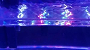 Самодельный светодиодный светильник для морского аквариума.