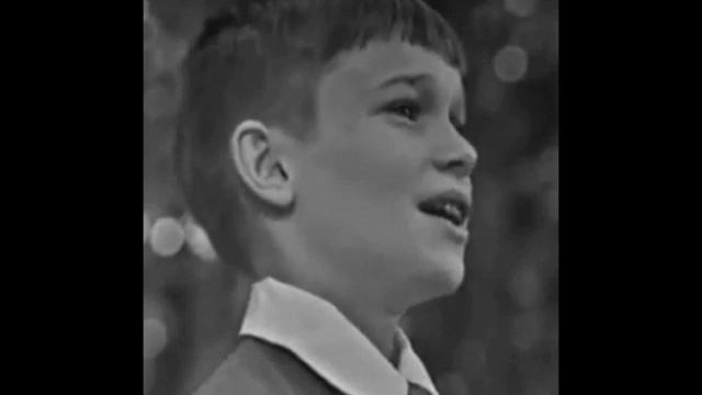 Серёжа Парамонов / Тирилим-бом-бом / БДХ смотреть онлайн