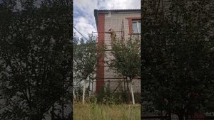 монтаж строительных лесов