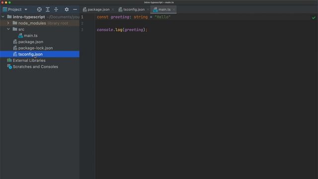 Understanding and setting up a TypeScript project | TypeScript introduction for beginners #01