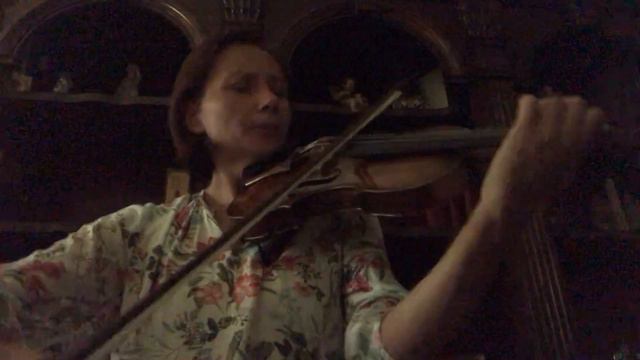 Brahms' Lullaby performed by Zofia Glashauser смотреть онлайн