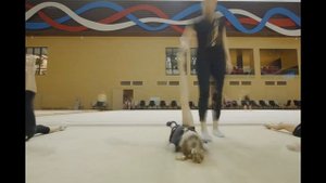 Центр художественной гимнастики Ирины Винер в Новогорске