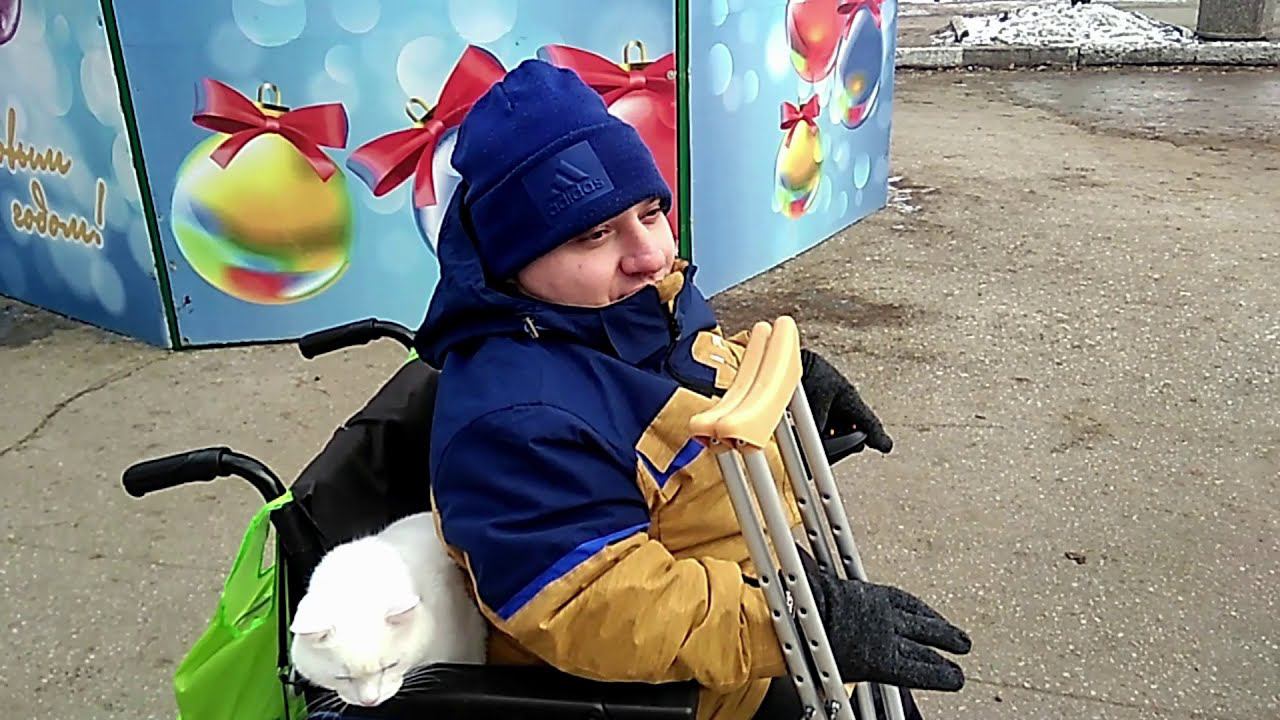 Городская Ёлка  Кормим бездомышей, гуляем с Джигитом