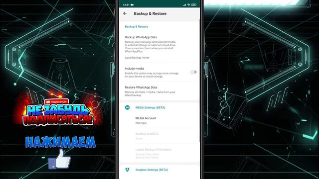 Настройка whatsapp plus. Разбираем всех функции ватсап плюс 2021