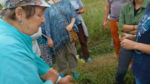 Таволга или лабазник