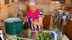 САЛАТ ИЗ ПЕРЕРОСШИХОГУРЦОВ В МАСЛЕ ЗА 15МИНУТ