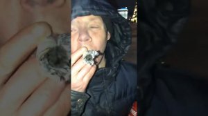 Курит махорку