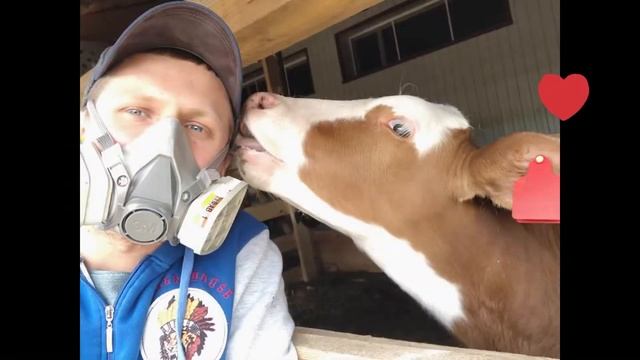 Жироуловитель за 5 часов смотреть онлайн