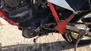 Honda TLR 250