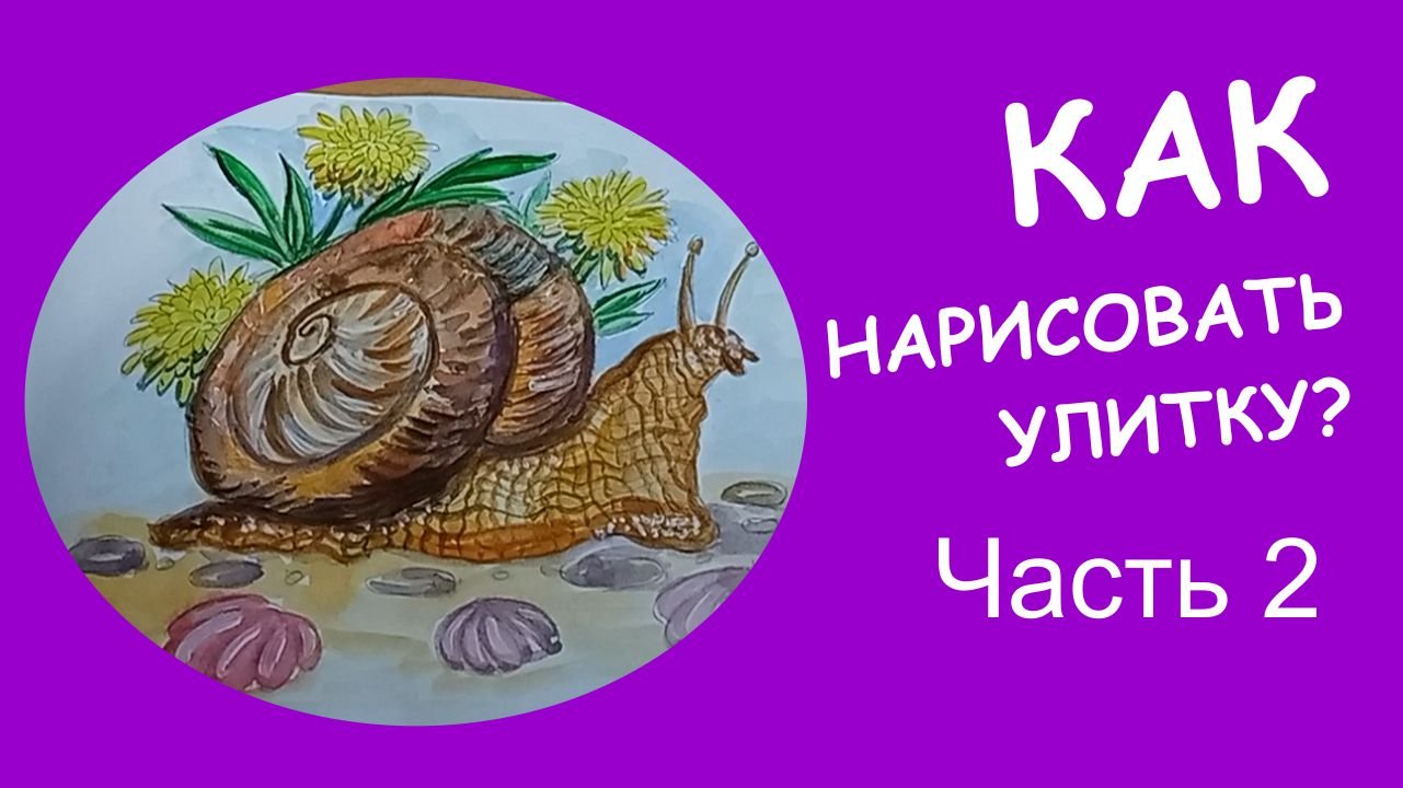 Как нарисовать улитку видео