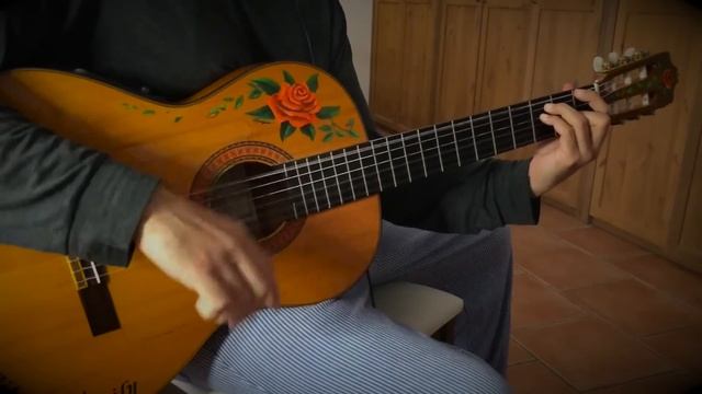 『Malagueña Salerosa』(Desperado 2) Once Upon a Time in Mexico【Antonio Banderas flamenco guitar cover смотреть онлайн