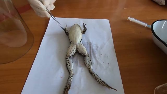 Действие стрихнина