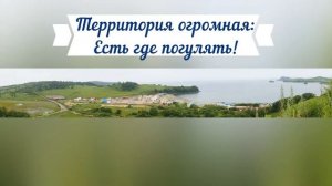 Зарубино. Бухта Алеут