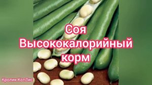 ЧЕМ КОРМИТЬ кроликов.СЕНО в рационе кроликов.КАК КОРМИТЬ КРОЛИКОВ СЕНОМ.КОМБИКОРМ для КРОЛИКОВ.