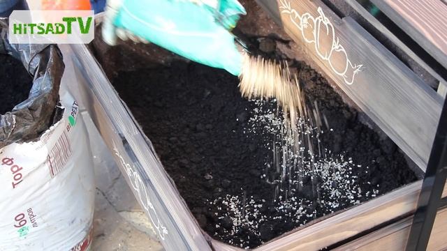 Как хранить свеклу? Правильный способ. смотреть онлайн