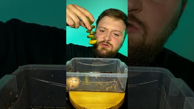 Cucumber🥒5 Levels смотреть онлайн