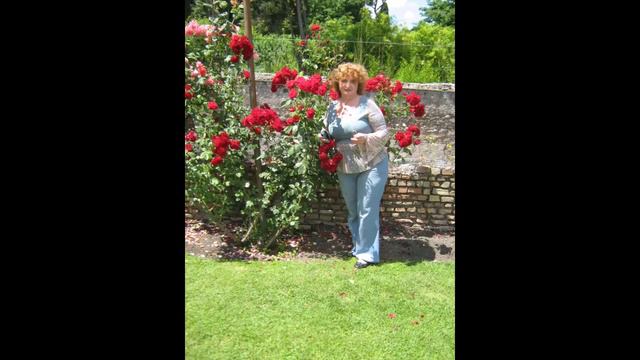 Одинокая ветка сирени смотреть онлайн