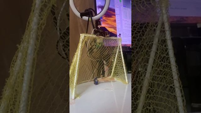 goalkeeper with raspberry pi and deep neural networks #pythonai #ai #deeplearning