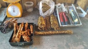 ПОИСК МЕДИ! Добываю медь и алюминий! Поиски металлолома! Добыча меди и алюминия. Поиск цветмета