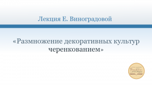 Мастер-класс «Размножение декоративных культур черенкованием»