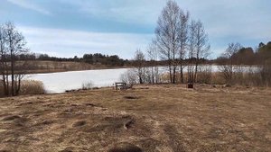 Озеро Лугины, деревня Заболотно, Псковская обл.