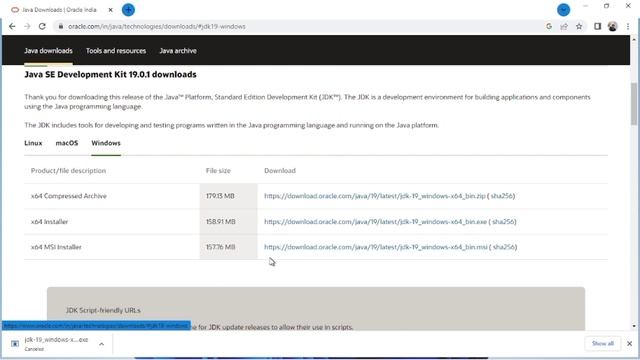 How to install java JDK 19.0.1 on Windows 11 [ 2022 UPDATES]