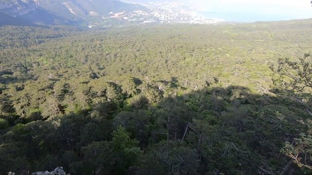ЯЛТА - МАССАНДРОВСКИЙ ПЛЯЖ. НЕ ПУСТИЛИ В ФОРОС. смотреть онлайн