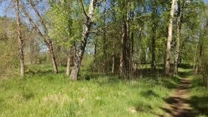 Г. Мядель, "Замок", Беларусь. 15.05.2020г.