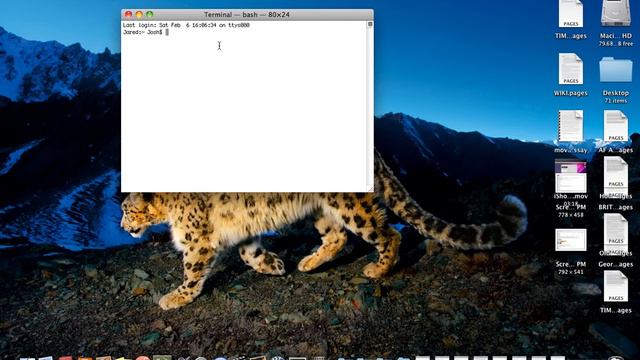 How to Clear Your History on Safari to Avoid Memory Consumption смотреть онлайн