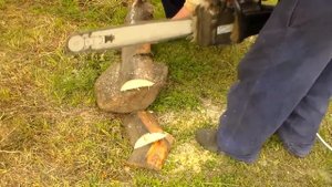 Демонстрация работы, электропила Парма М4