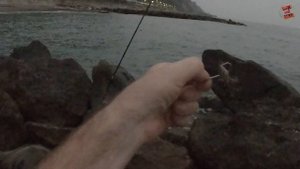 ЛОВЛЯ ГОРБЫЛЯ С БЕРЕГА/ НОЧНАЯ РЫБАЛКА