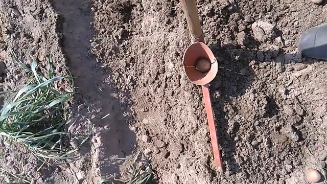 Приспособление для посадки картофеля.