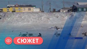 Оленеводы из Анабарского района Якутии приехали на выборы на оленях