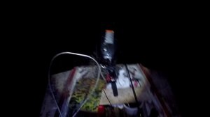 КАК 100% поймать СОМА осенью на ДОНКИ.