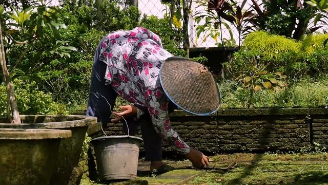 INFERT - Tourism in West Kalimantan