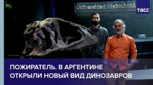 Пожиратель. В Аргентине открыли новый вид динозавров