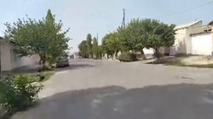 Конибодом