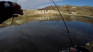 Мормышинг на крупного карпа, Dayo PRESTIGE остался в запасе.#мормышинг #рыбалка #fishing #fish