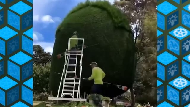 Посмотрите, Что Творят Работники 80го Уровня смотреть онлайн