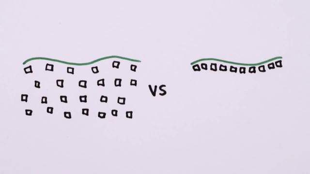 Почему листья зеленые на самом деле? 2/2