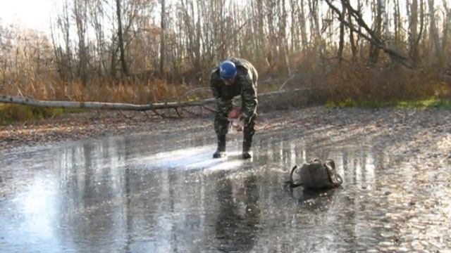 ВЫЖИВАНИЕ С ДИКИМИ ЖИВОТНЫМИ . 24 ЧАСА В ЛЕСУ!!! смотреть онлайн