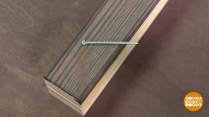 Гвоздик, прячься! Доброе утро. Фрагмент выпуска от 08.11.2019