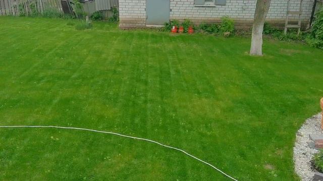 Как избавиться от сорняков на газоне или лужайке!? смотреть онлайн