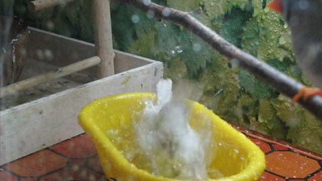 Размножение амадин 1 часть смотреть онлайн