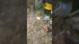 дровакол на заднюю навеску трактора