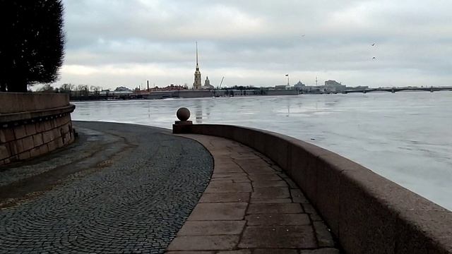 Санкт-Петербург, Нева #respect #notalking #saintpetersburg #walkingvideo #traveling #walkingstreet