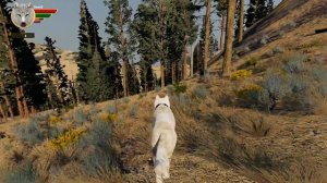 Let's Play: Wolf Quest - Anniversary Edition - First Run