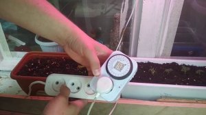 Таймер для освещения курятника