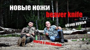 Новые ножи от BeaverKnife! Охота с легавыми I Обзор ружья